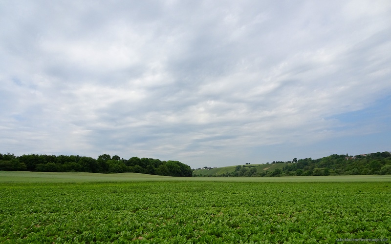 DSC09149 - 2017-06-02 um 11-43-18
